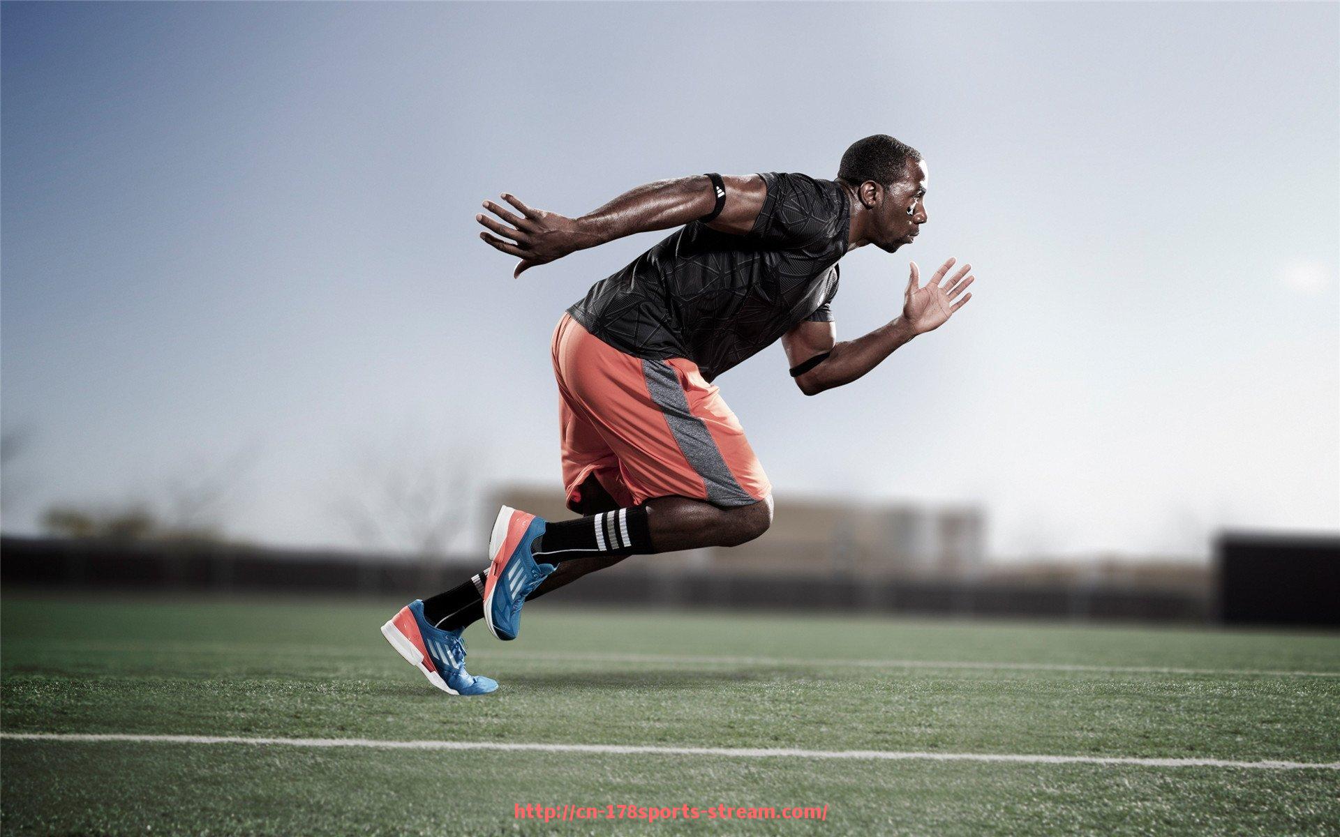 178体育直播-全球健身器材品牌排行榜及产品特色分析